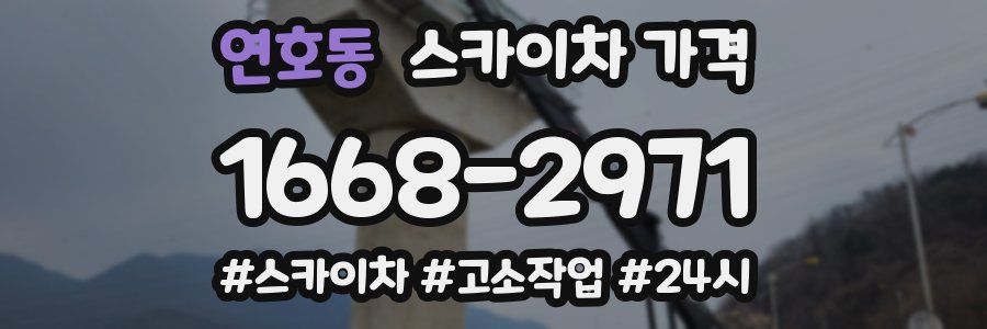 연호동 스카이차 가격