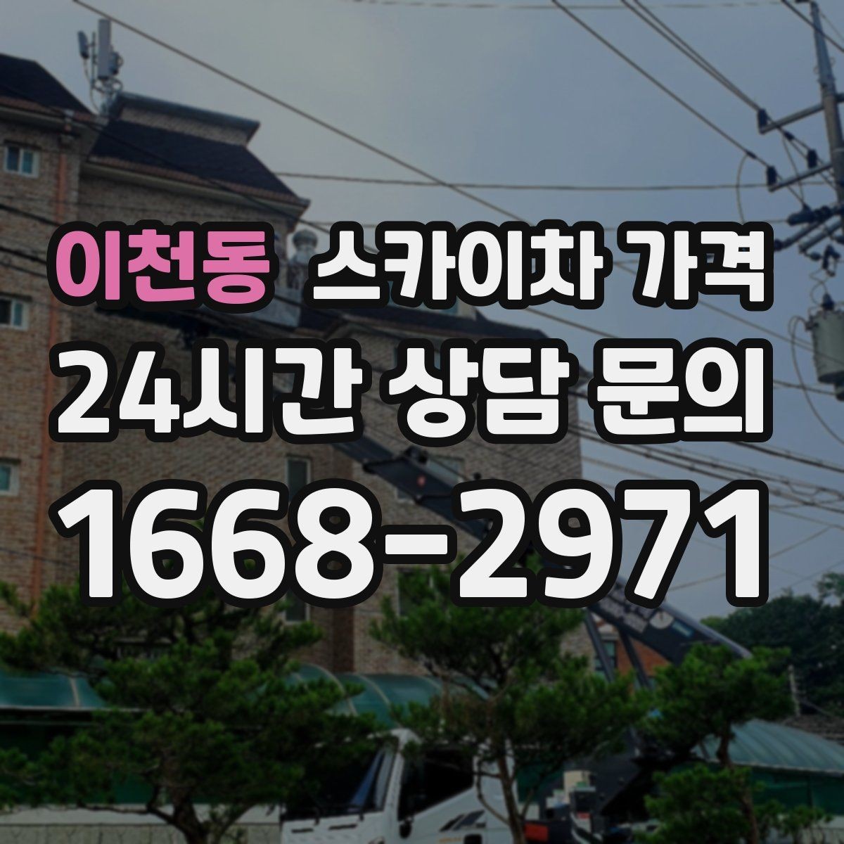 이천동 스카이차 가격 나무 전지 작업은 가지 위치가 변수가 됩니다