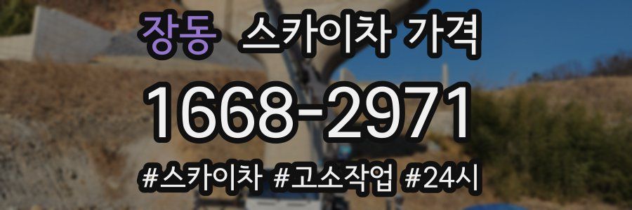 장동 스카이차 가격