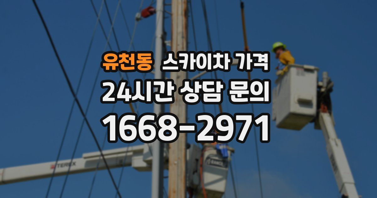 유천동 스카이차 가격