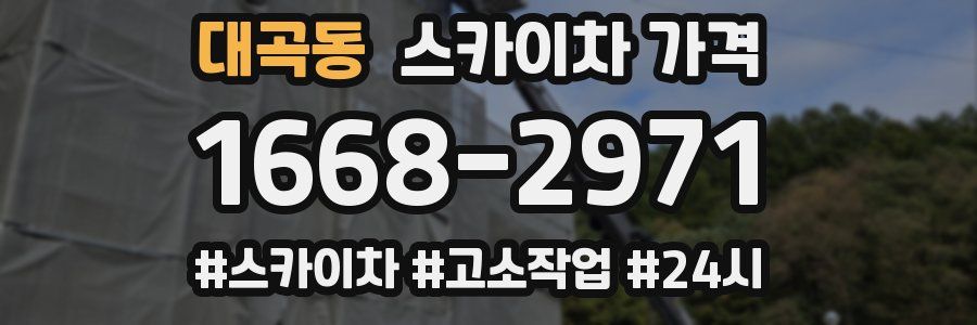 대곡동 스카이차 가격