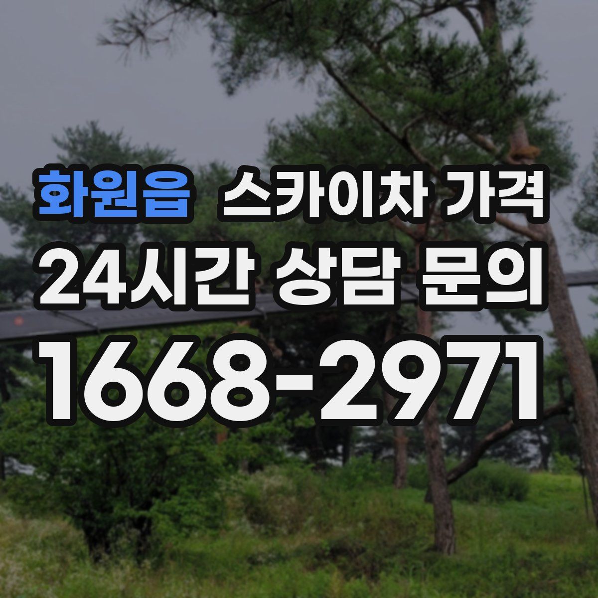 화원읍 스카이차 가격