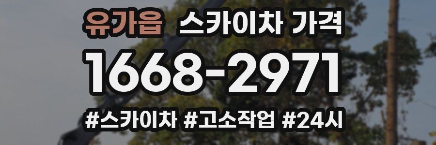 유가읍 스카이차 가격