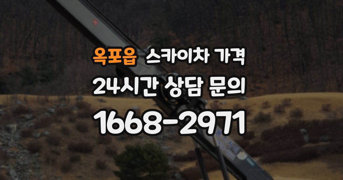 옥포읍 스카이차 가격