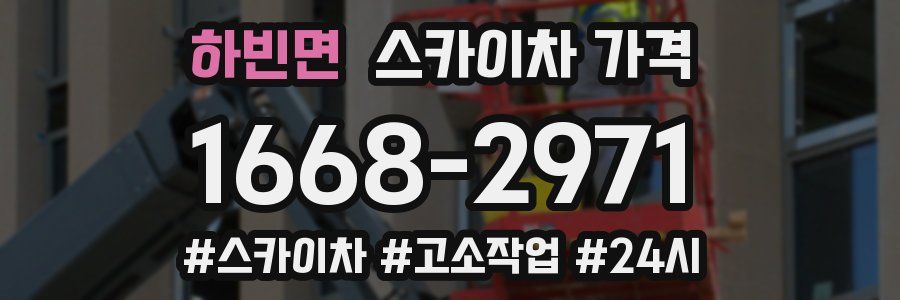 하빈면 스카이차 가격