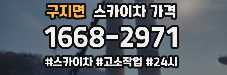 구지면 스카이차 가격