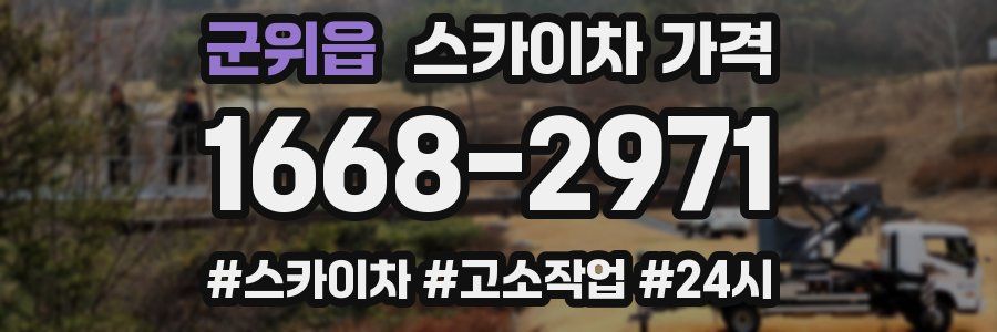 군위읍 스카이차 가격