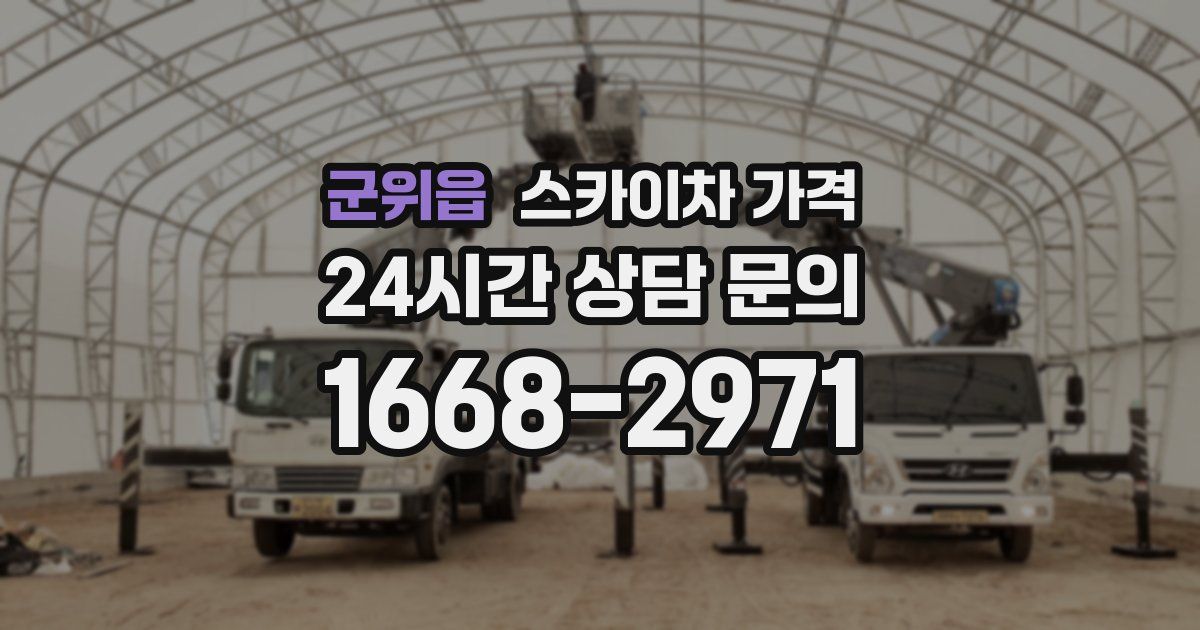 군위읍 스카이차 가격