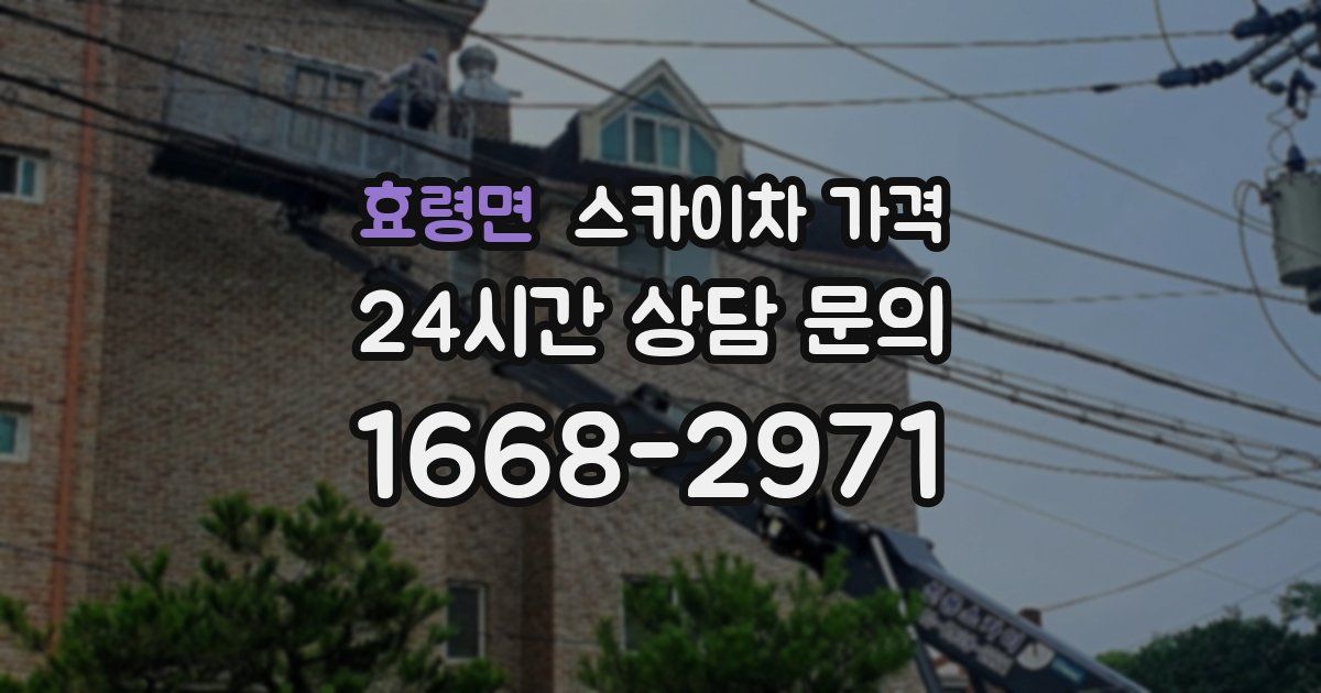 효령면 스카이차 가격