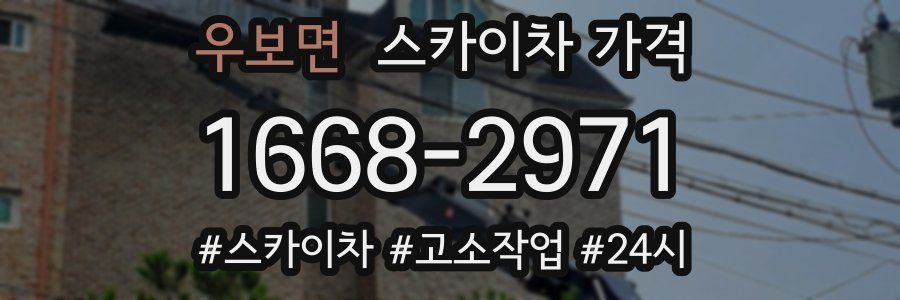 우보면 스카이차 가격