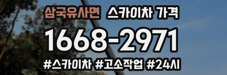 삼국유사면 스카이차 가격