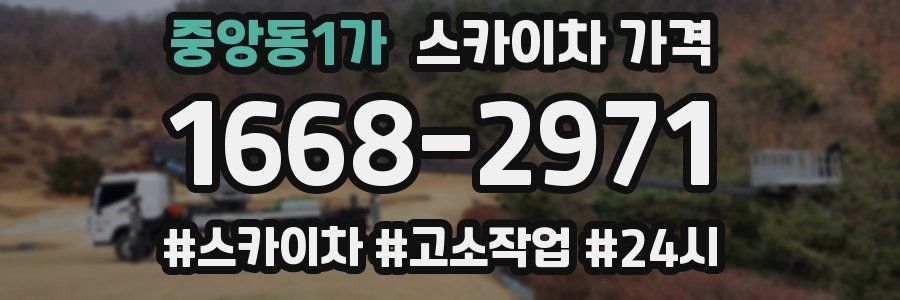 중앙동1가 스카이차 가격