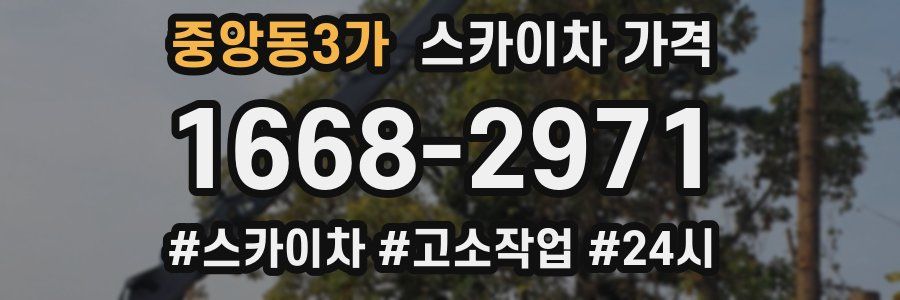 중앙동3가 스카이차 가격