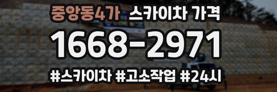 중앙동4가 스카이차 가격