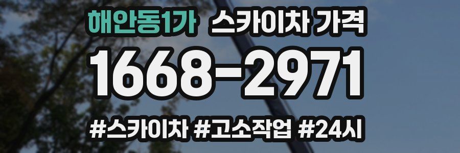 해안동1가 스카이차 가격