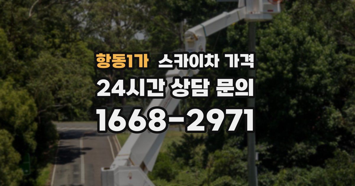 항동1가 스카이차 가격