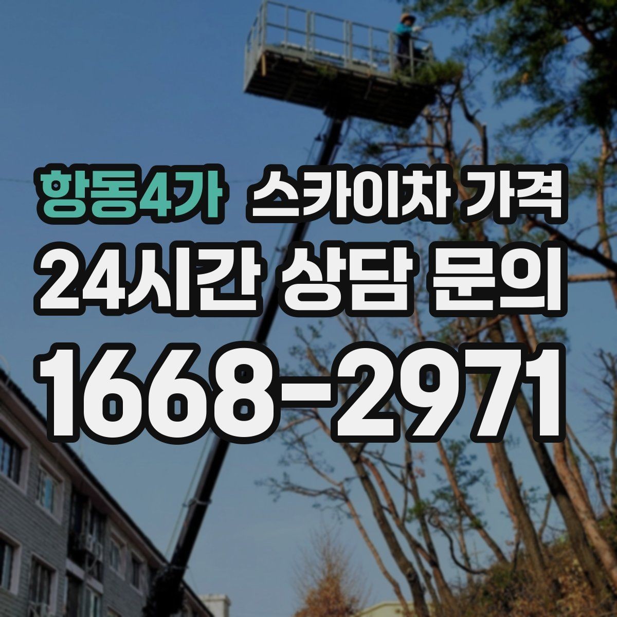 항동4가 스카이차 가격 예약 호출이 필요한 현장 유형