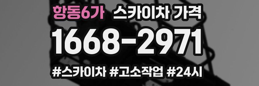 항동6가 스카이차 가격