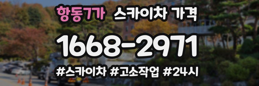 항동7가 스카이차 가격