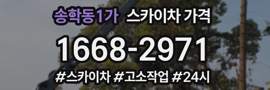 송학동1가 스카이차 가격