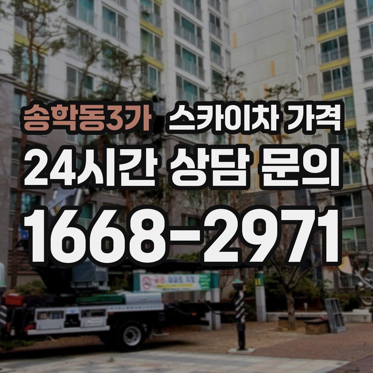 송학동3가 스카이차 가격 나무 전지 작업은 가지 위치가 변수가 됩니다