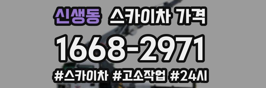 신생동 스카이차 가격