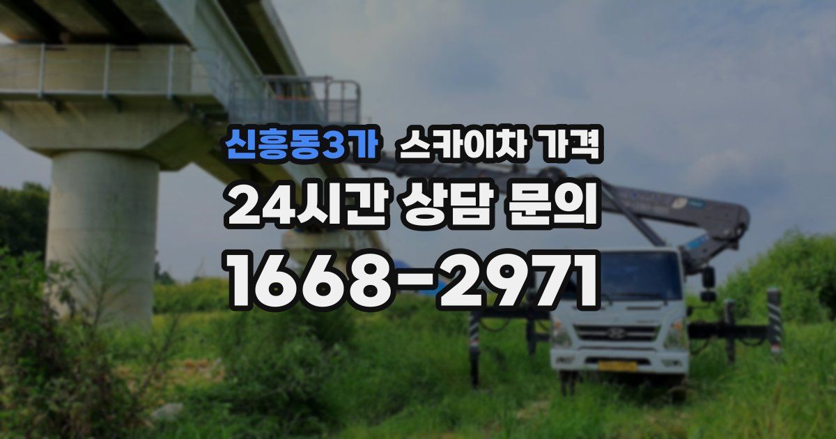 신흥동3가 스카이차 가격