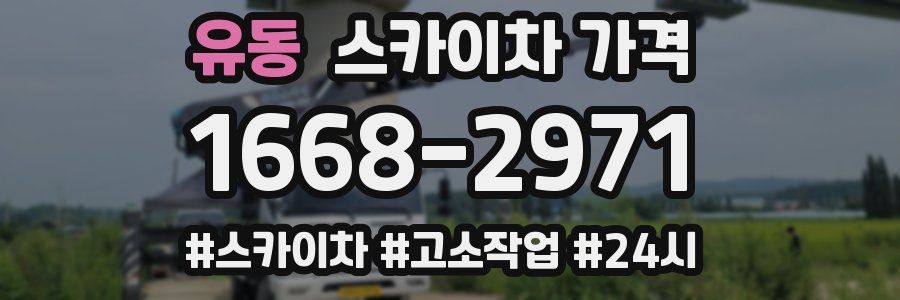 유동 스카이차 가격