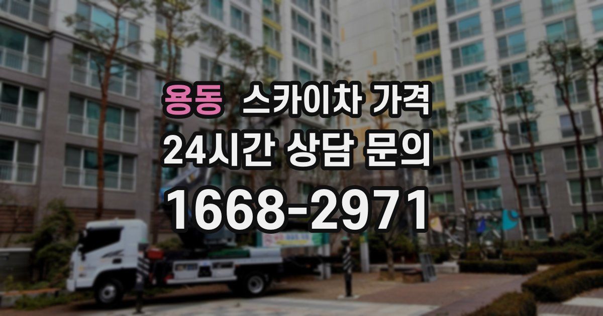 용동 스카이차 가격