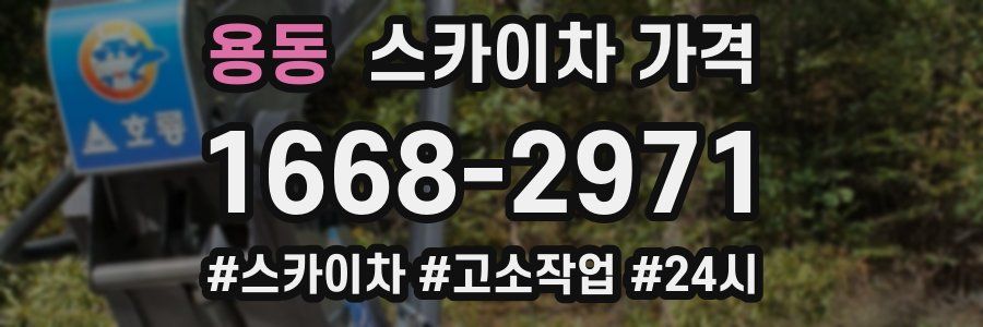 용동 스카이차 가격