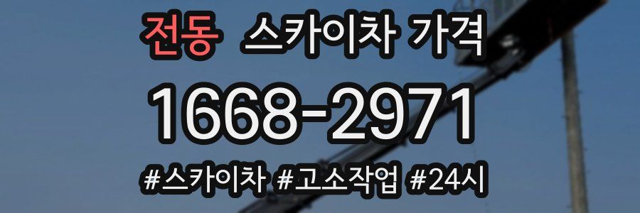 전동 스카이차 가격