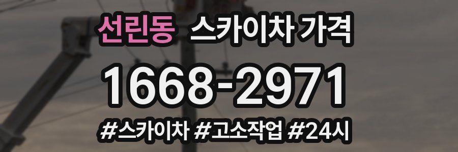 선린동 스카이차 가격