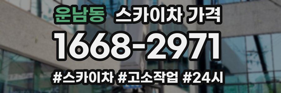 운남동 스카이차 가격