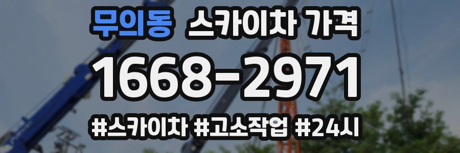 무의동 스카이차 가격