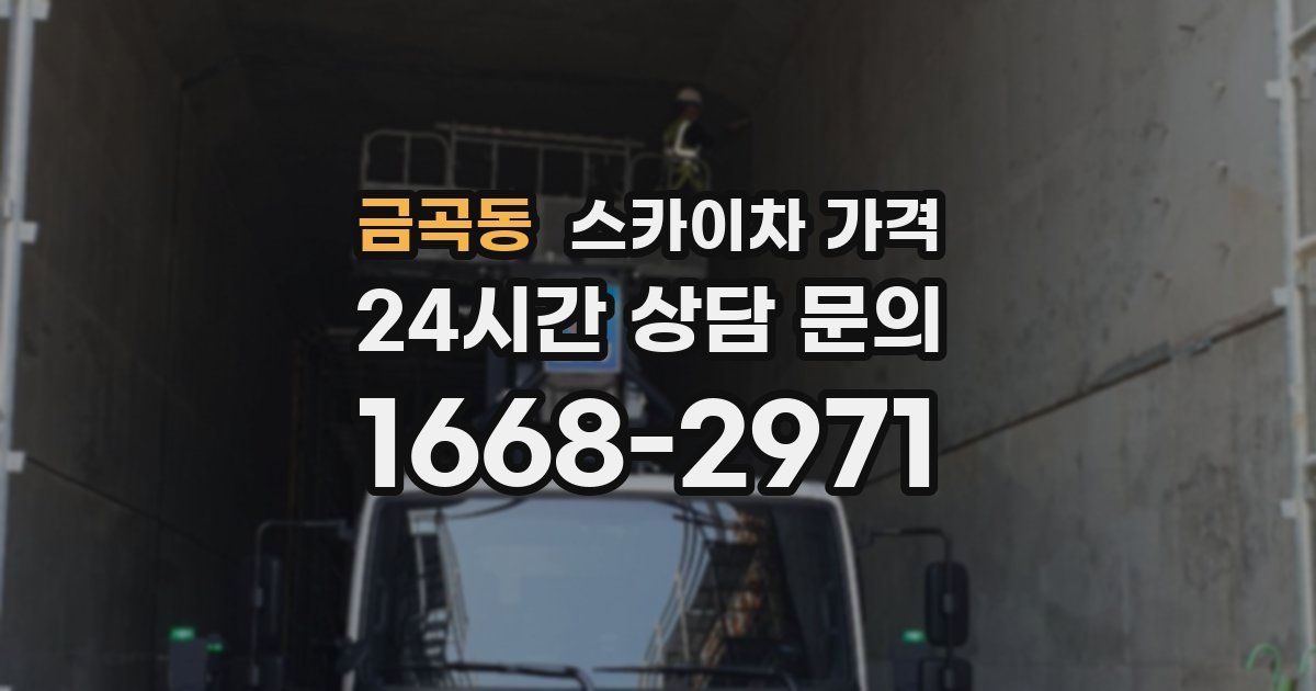 금곡동 스카이차 가격