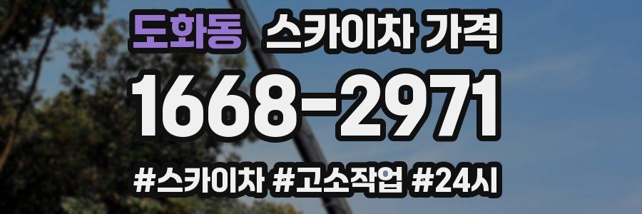 도화동 스카이차 가격