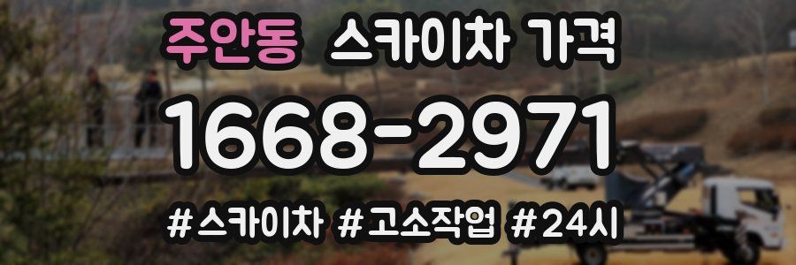 주안동 스카이차 가격