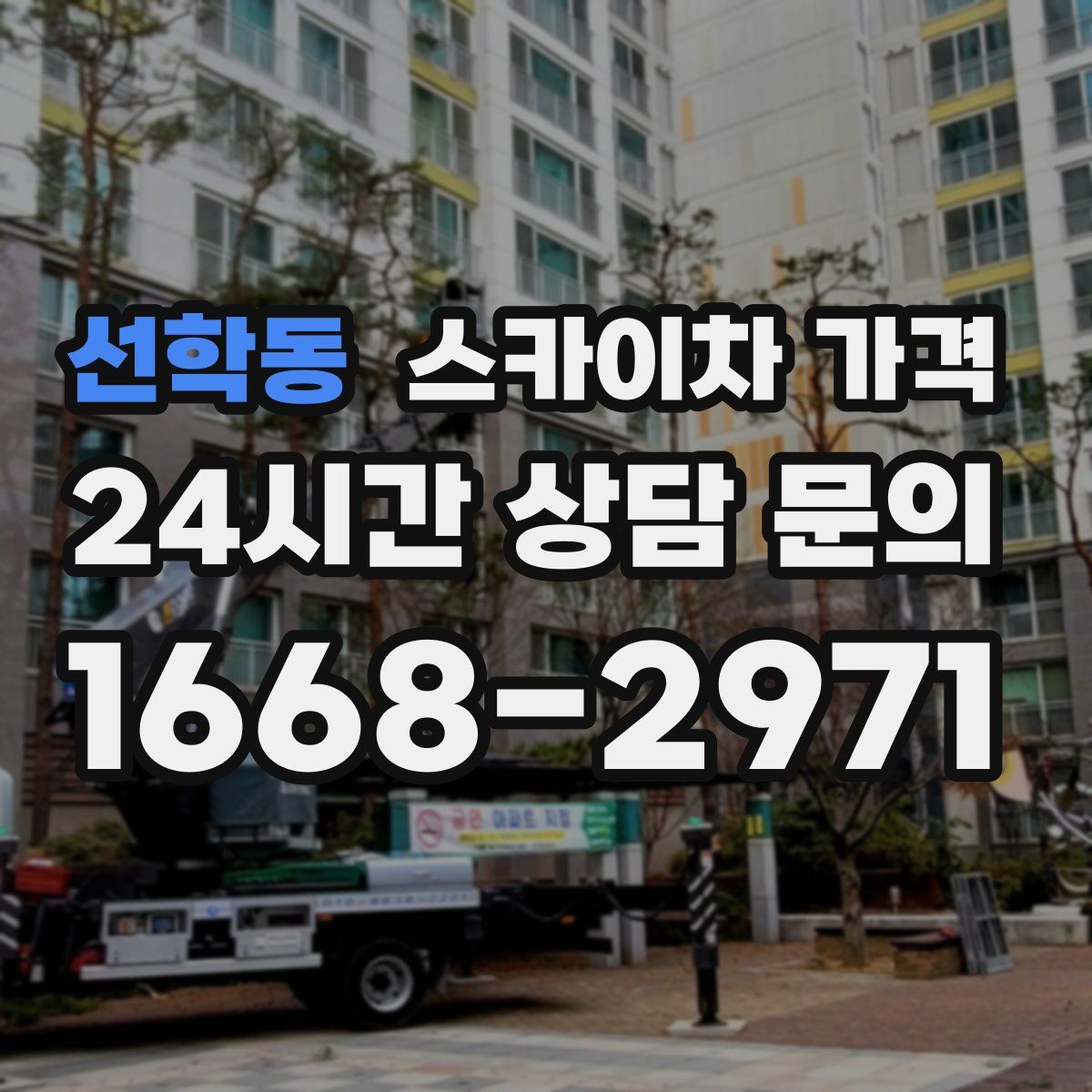 선학동 스카이차 가격