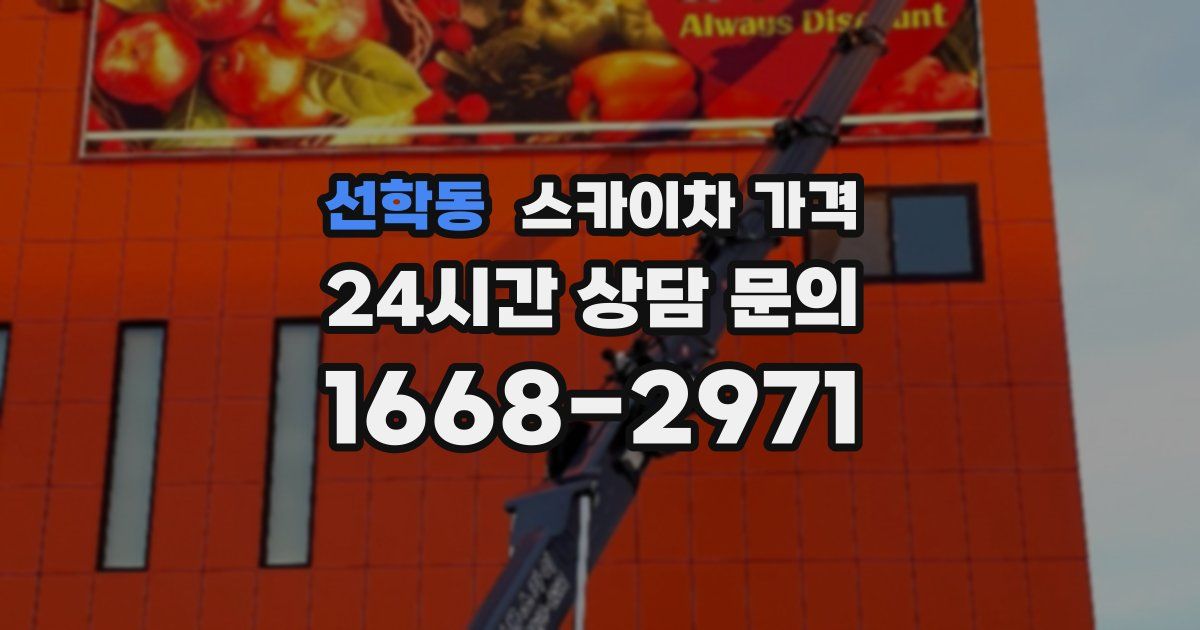 선학동 스카이차 가격