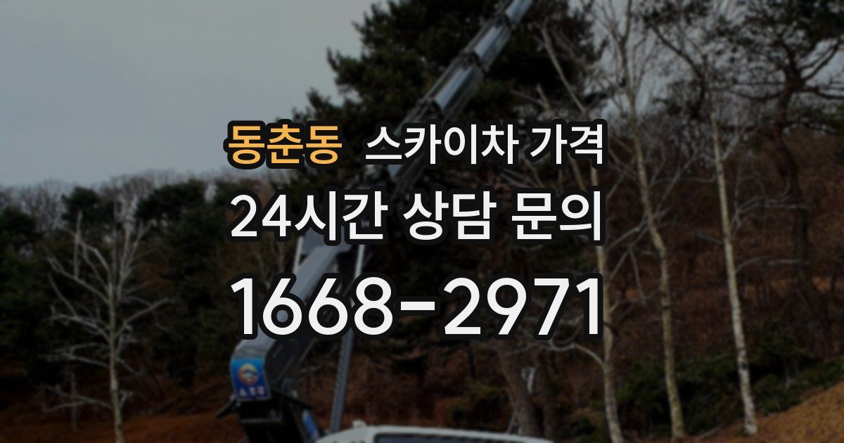 동춘동 스카이차 가격