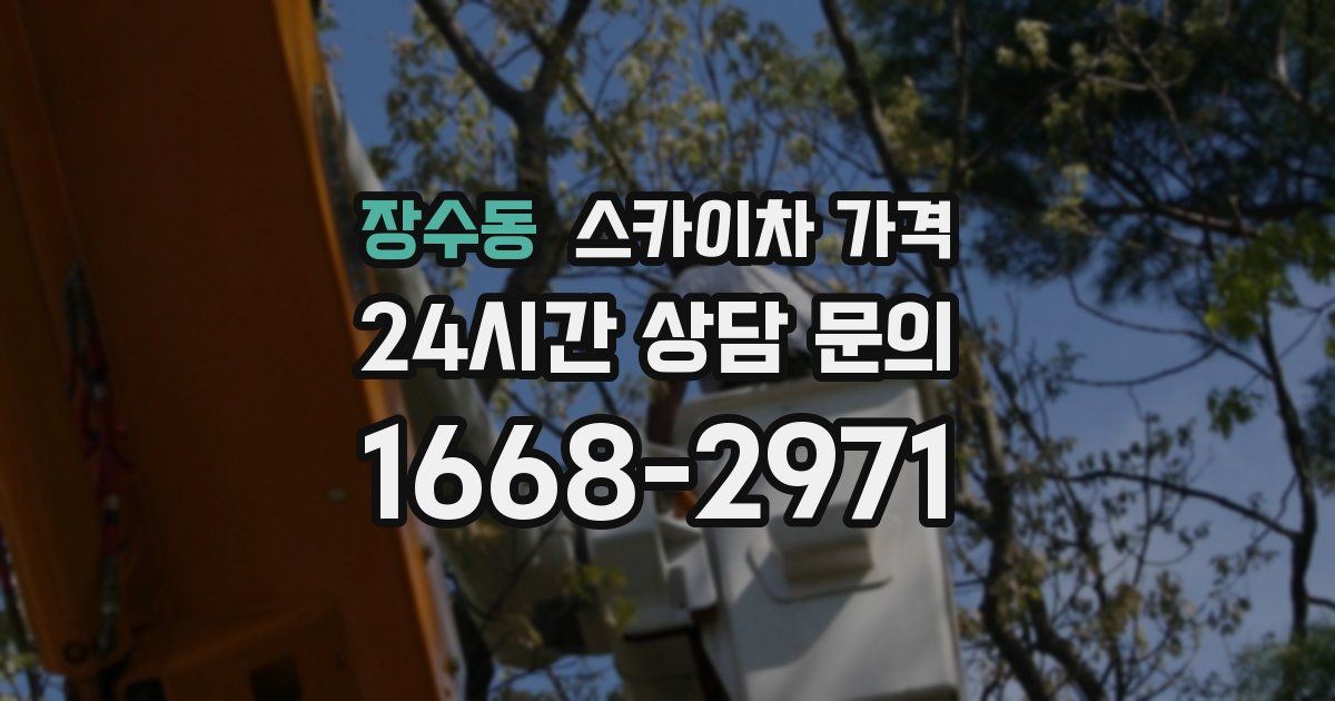 장수동 스카이차 가격