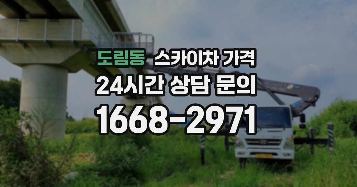 도림동 스카이차 가격