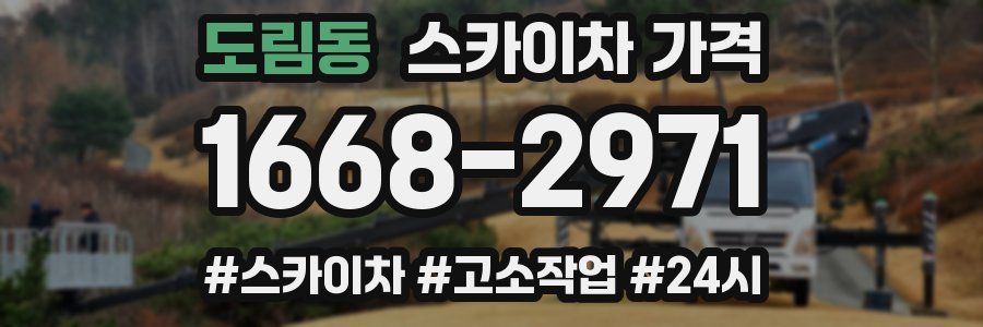 도림동 스카이차 가격