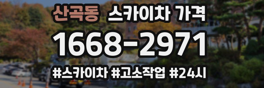 산곡동 스카이차 가격