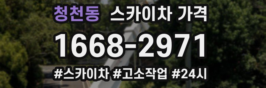 청천동 스카이차 가격