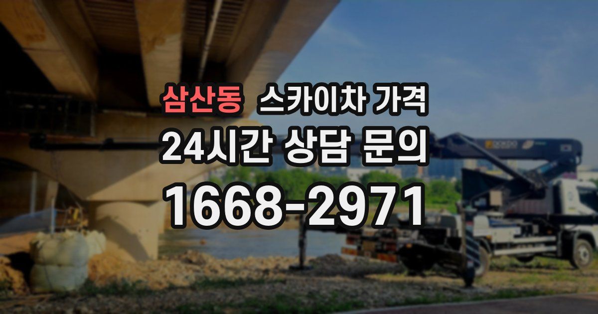 삼산동 스카이차 가격