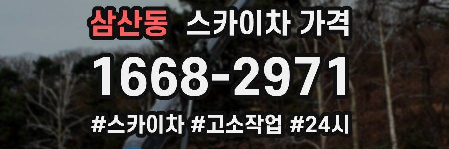 삼산동 스카이차 가격