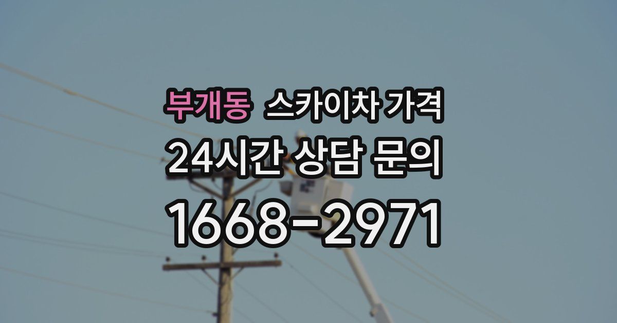 부개동 스카이차 가격