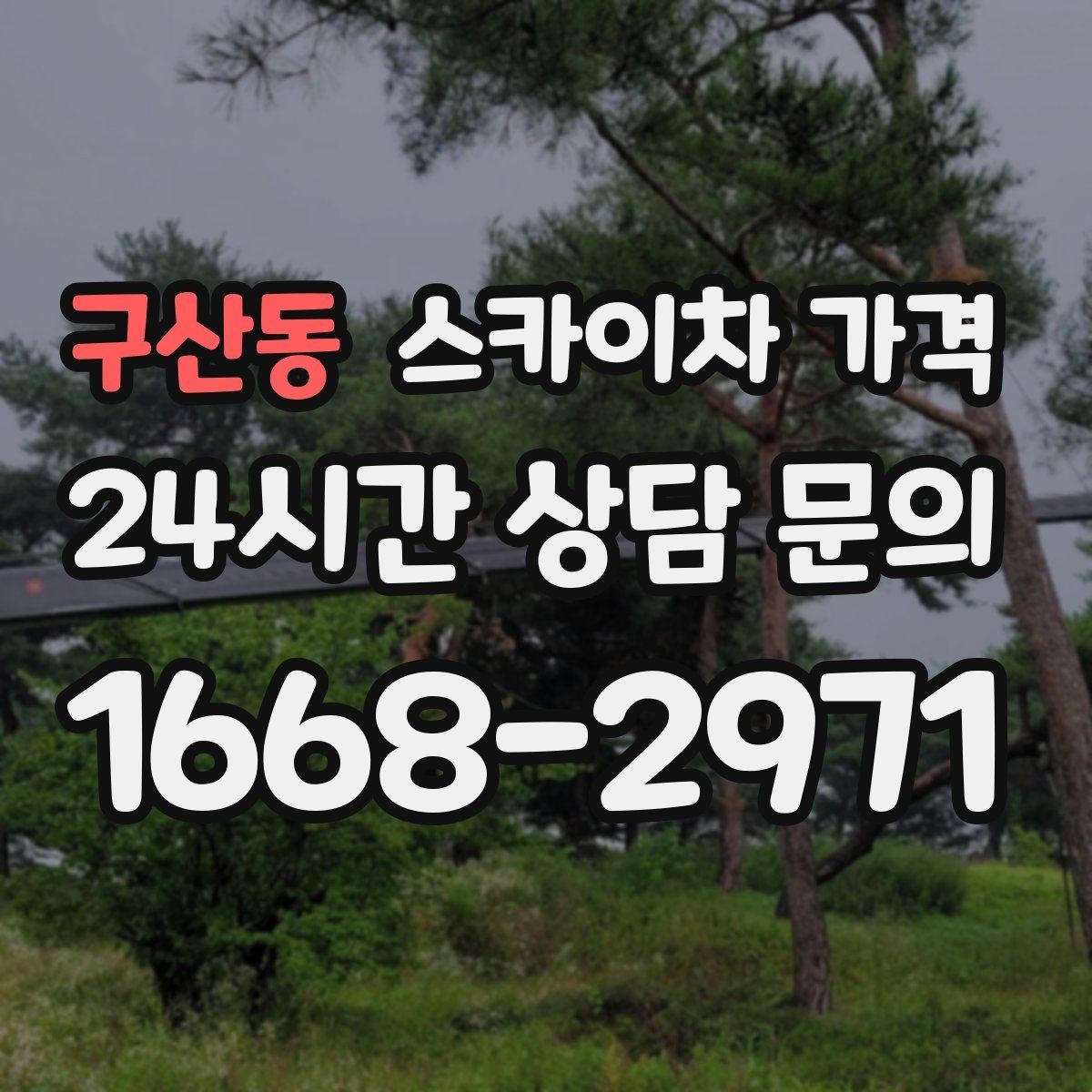 구산동 스카이차 가격 처음 이용해도 실수 줄이는 체크리스트