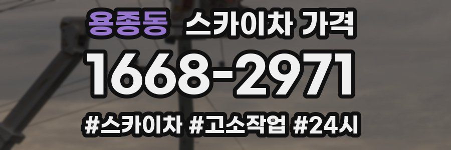 용종동 스카이차 가격